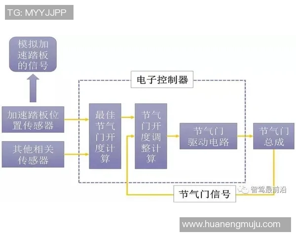 深圳排球队的战术解析与控制能力深度剖析